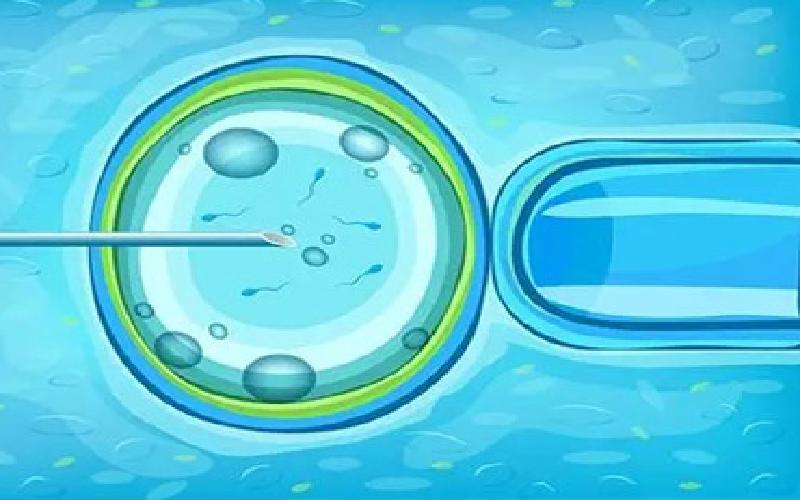 济南哪个试管便宜代生